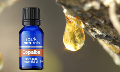 The Power of Copaiba Essential Oil