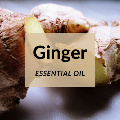 Ginger Essential Oil Benefits and Uses