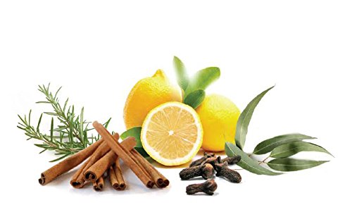 Shield | Protective Blend - Spark Naturals