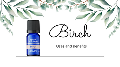 Pure Birch Oil: Benefits and Uses