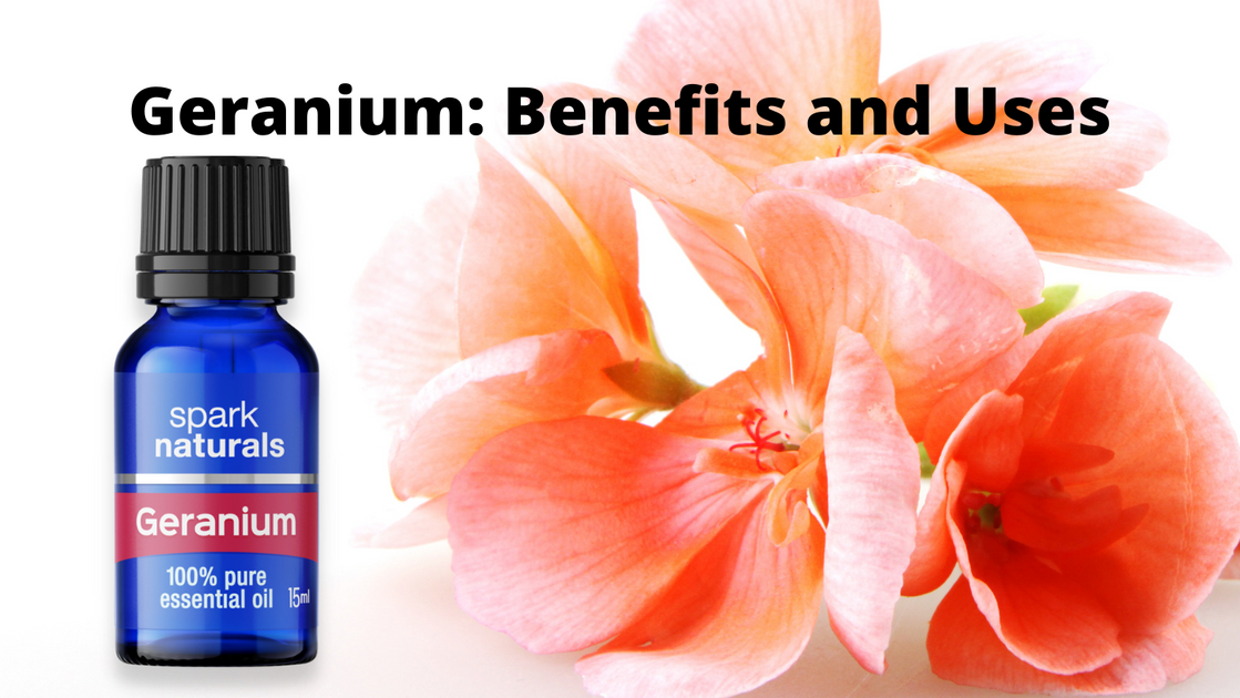 Geranium Benefits and Uses Spark Naturals