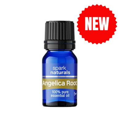 Angelica Root | Pure Essential Oil