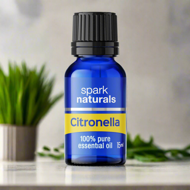 Citronella | Pure Essential Oil